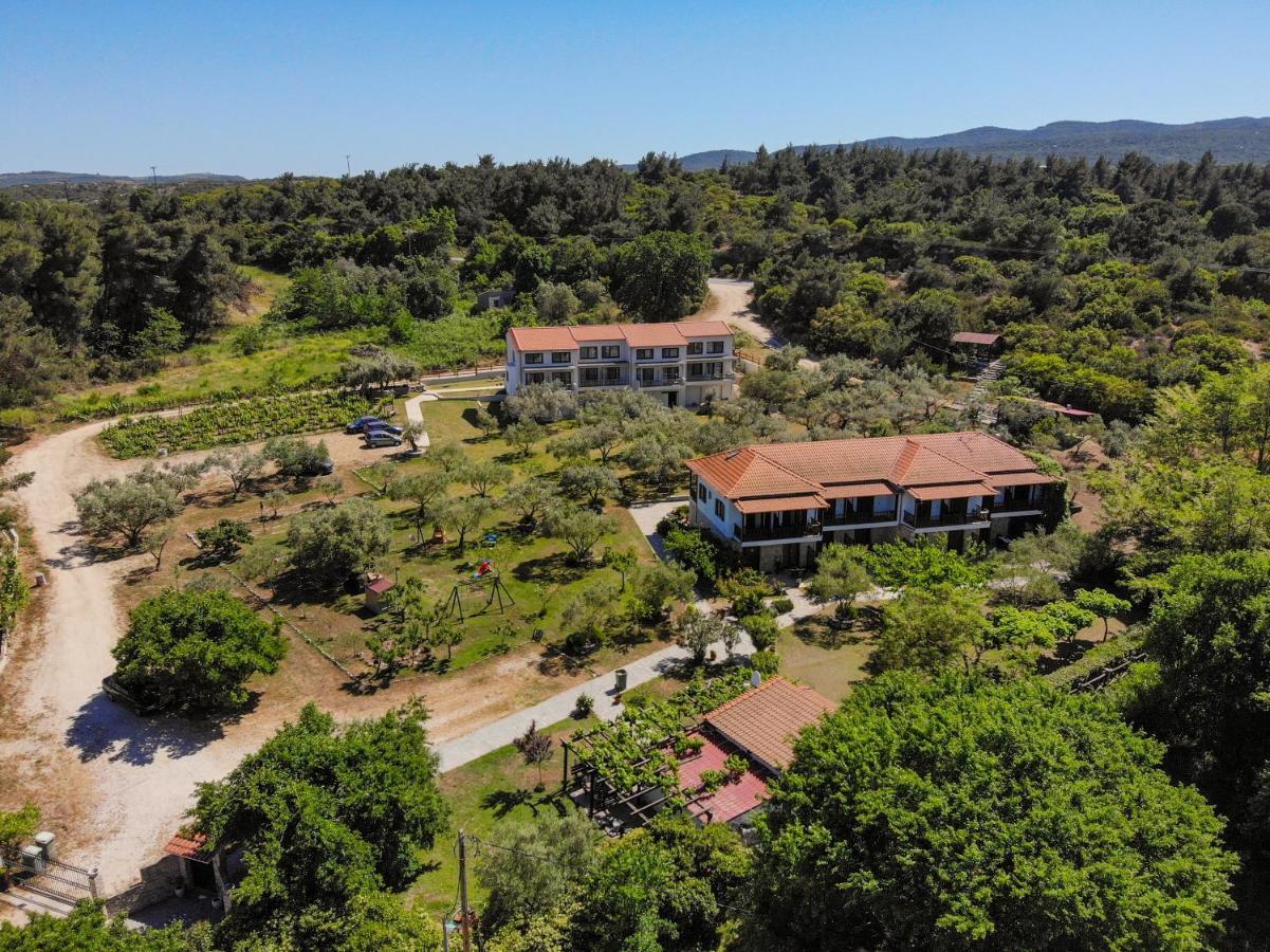 Dionysus Apartments & Suites Jeriszósz Kültér fotó