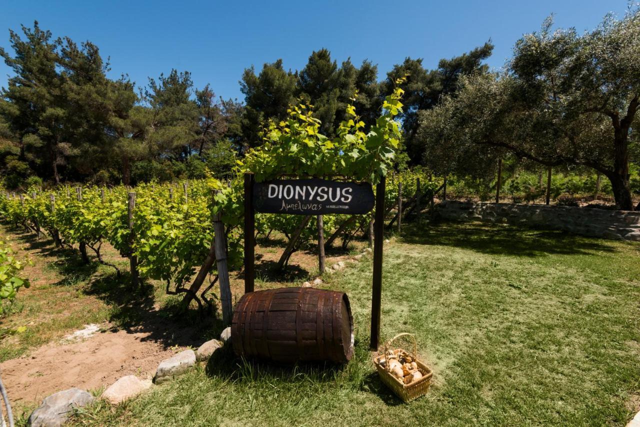 Dionysus Apartments & Suites Jeriszósz Kültér fotó