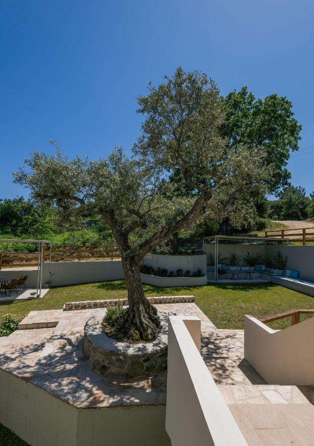 Dionysus Apartments & Suites Jeriszósz Kültér fotó