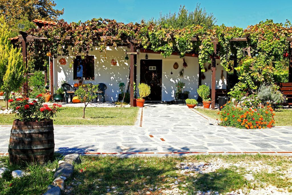 Dionysus Apartments & Suites Jeriszósz Kültér fotó