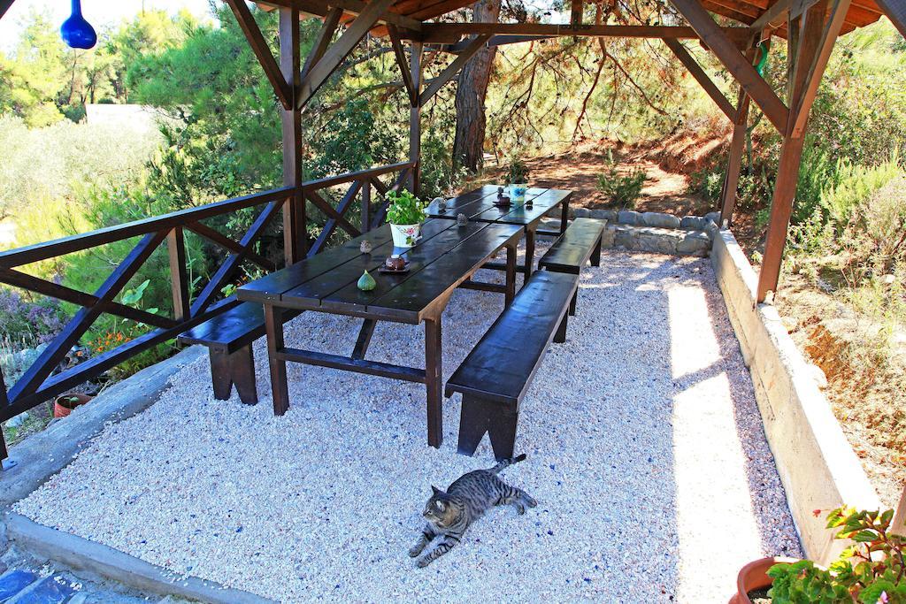 Dionysus Apartments & Suites Jeriszósz Kültér fotó