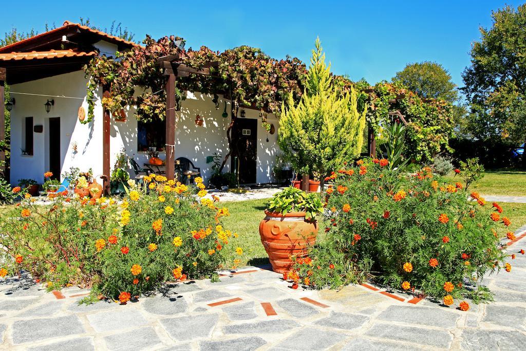 Dionysus Apartments & Suites Jeriszósz Kültér fotó