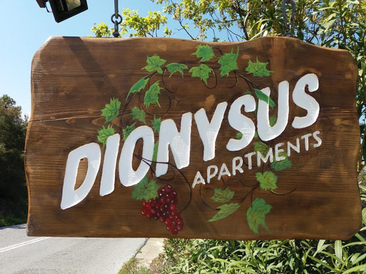 Dionysus Apartments & Suites Jeriszósz Kültér fotó