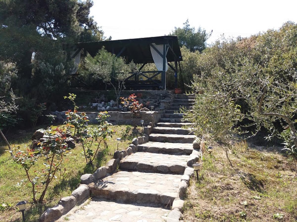 Dionysus Apartments & Suites Jeriszósz Kültér fotó